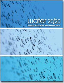 Water 20/20 Whitepaper download